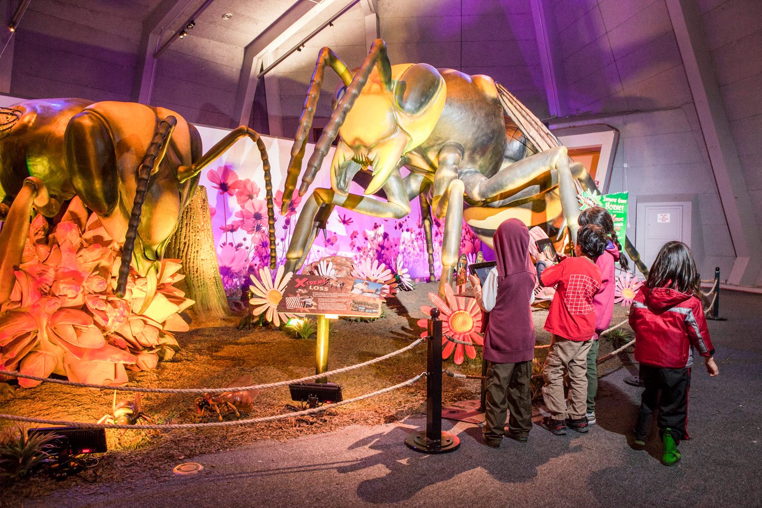 Zoo opening new exhibits on long weekend - Classic107: Winnipeg's